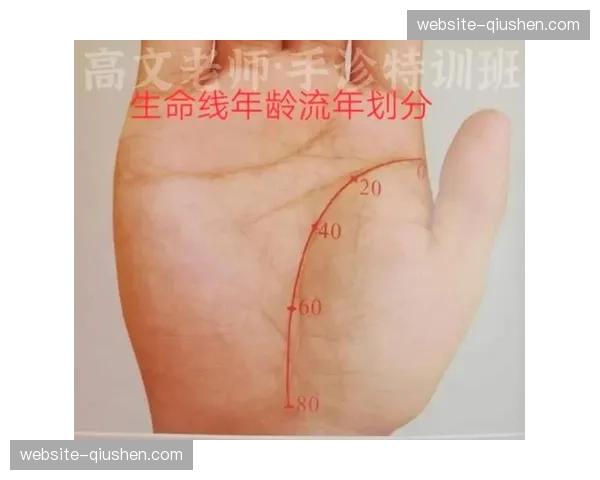 挪威队双核体能输出是球队生命线,任何一人的体能下降都将影响整体战术。 挪威队双核体能输出是球队生命线,任何一人的体能下降都将影响整体战术。