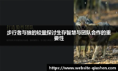 步行者与狼的较量探讨生存智慧与团队合作的重要性