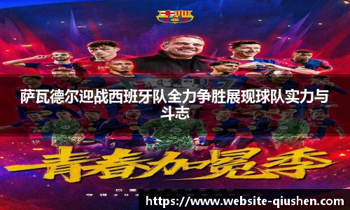 球神高清直播