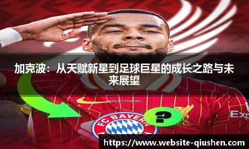 球神高清直播